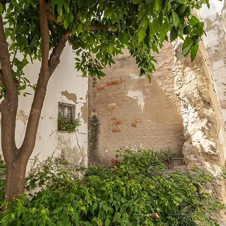 La Casa De Arcos - Casco Historico - Parking Opcional Jerez de la Frontera